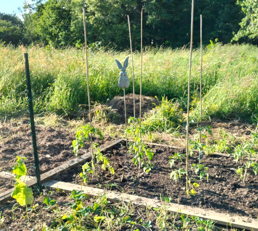 potager partagé d'histoire(s) de